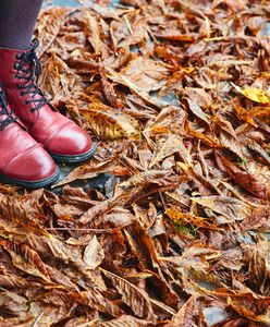 Jesienny bunt – rockowe botki tyko dla pań z charakterem