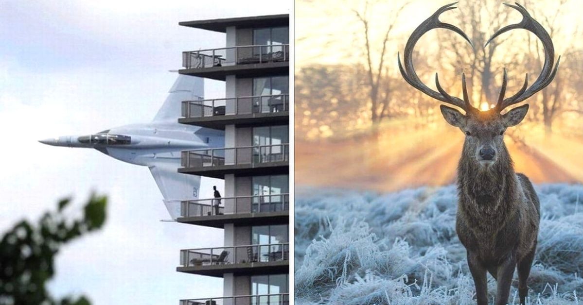 21 Amazing Photos That Are 100% Genuine