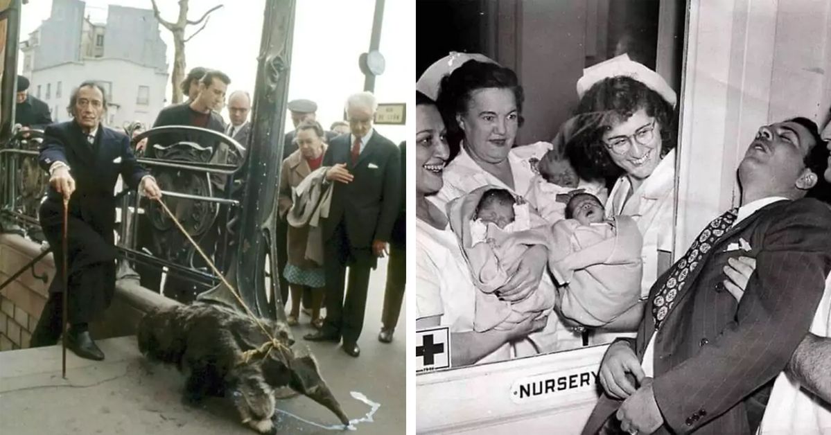 19 Little-Known Photos from the Past You Won't Find in History Books