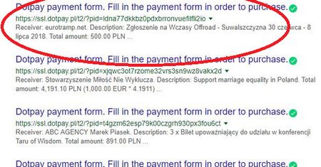 Wpadka systemu Dotpay. Historia transakcji była publicznie dostępna dla każdego