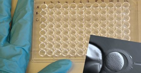 Fatalna pomyłka kliniki in vitro. Wstrzykiwała kobietom spermę obcego mężczyzny