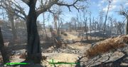 Fallout 4 - recenzja