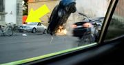 #AnatomiaWpadki: Wpadka w najnowszym hicie Netfliksa. Jak mogli do tego dopuścić?