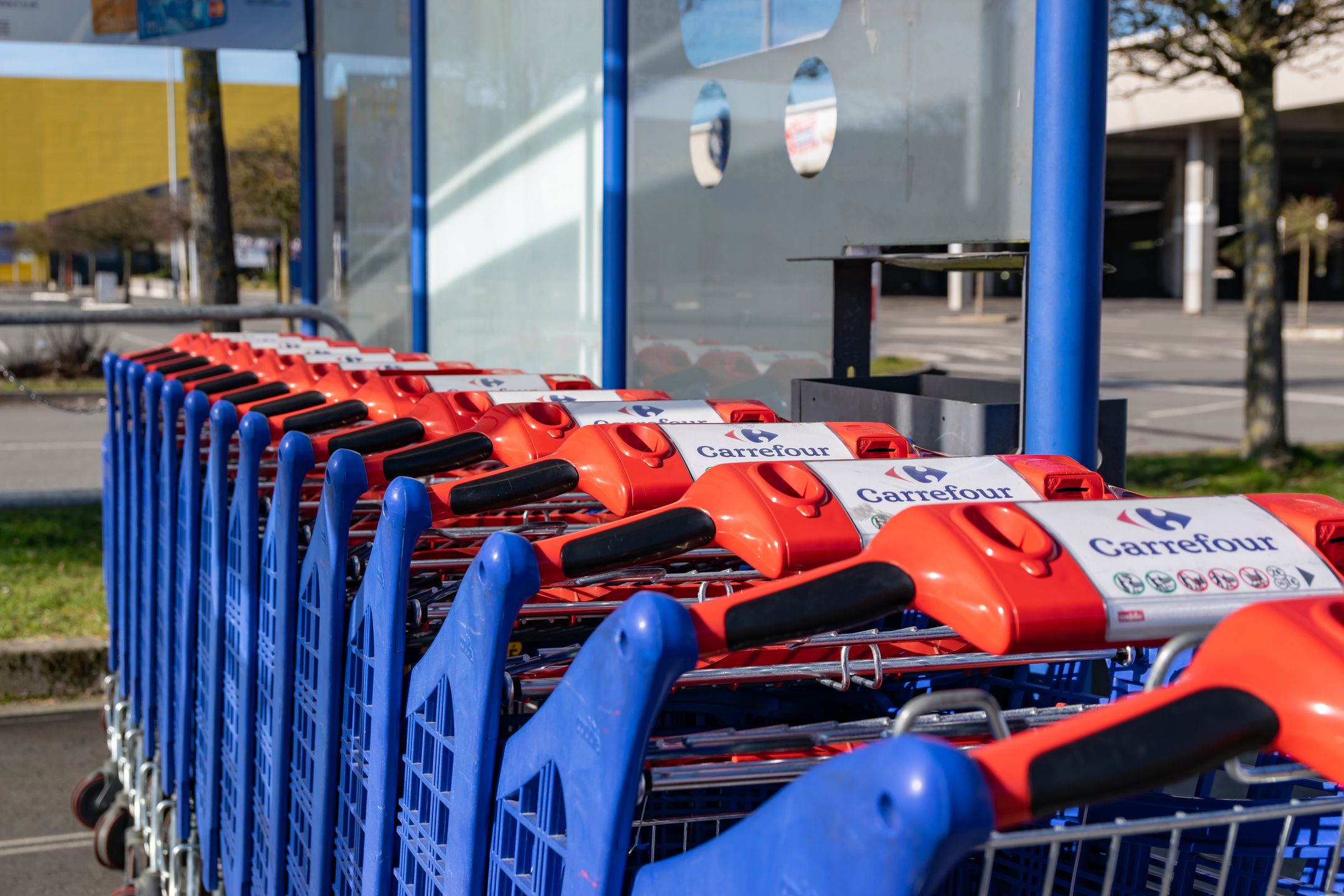 Już niedługo zrobimy zakupy w Carrefourze w niedzielę. Ale na razie w internecie.
