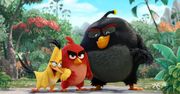 Dlaczego ptaki są wkurzone? Zwiastun filmowego Angry Birds daje poszlaki
