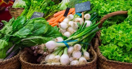 Czym jest dieta Dąbrowskiej?