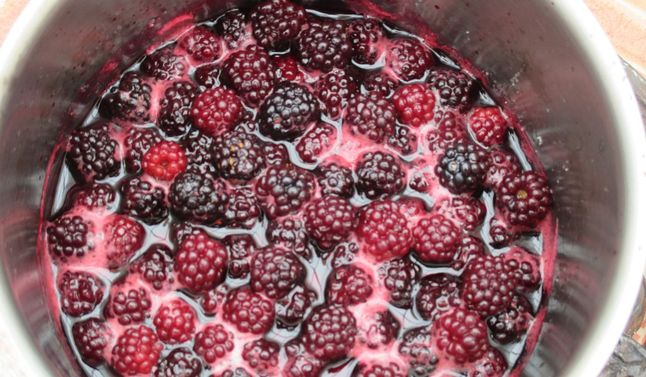 Aby przygotować dżem z jeżyn, potrzebujesz tylko 3 składników - Pyszności; Foto Canva.com