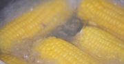 Gotowanie kukurydzy. Jak długo gotuje się kukurydzę?