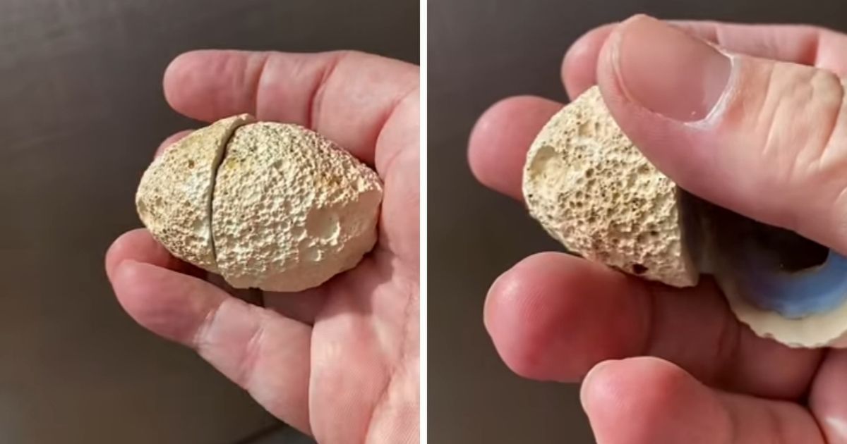 Geologist Finds Casual Rock Which Is So Unusual Inside. It Looks Like Someone Famous…