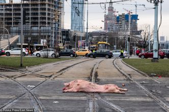 "Money. To się liczy". Kolejny protest rolników. Gościem szef AGROunii