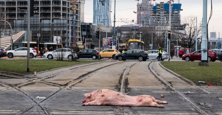 "Money. To się liczy". Kolejny protest rolników. Gościem szef AGROunii