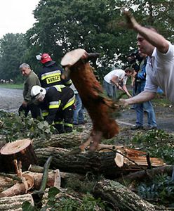 Strażacy usuwają skutki nawałnicy