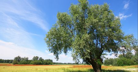Pogoda na dziś — środa 31 lipca. Prognoza dla Warszawy, Gdańska, Wrocławia i innych. Sprawdź, gdzie będzie dziś burza, a gdzie zaświeci słońce