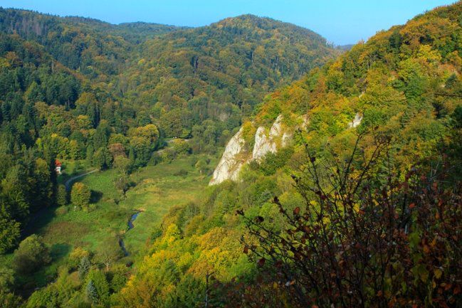 Polska Szwajcaria - wyprawa Doliną Prądnika