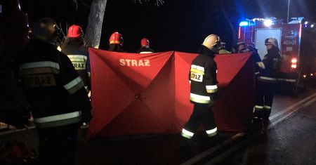 Samochód uderzył w drzewo na Opolszczyźnie. Są zabici i ranni