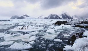 Silne trzęsienie ziemi na Oceanie Atlantyckim