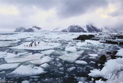 Silne trzęsienie ziemi na Oceanie Atlantyckim