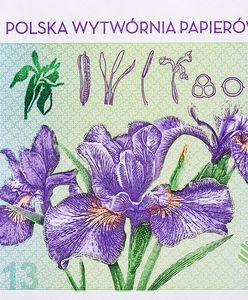 Banknoty, które w ogóle nie powinny trafić do sprzedaży. Najwięcej zamieszania wywołał "warszawski"