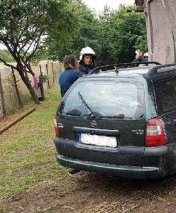 Zajrzała do torebki i wjechała w dom. Na drodze stanęło jej pole