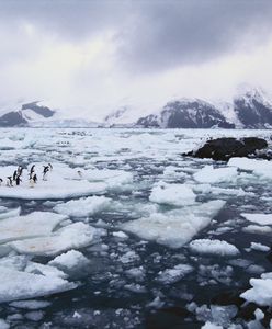 Silne trzęsienie ziemi na Oceanie Atlantyckim