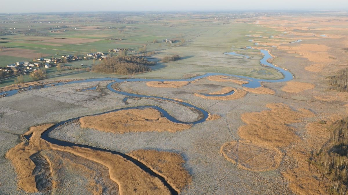 Biebrzański Park Narodowy to największy park narodowy w Polsce.