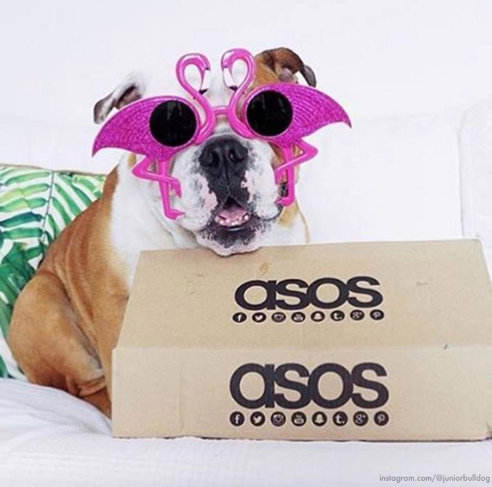 ASOS - oferta, historia, działalność