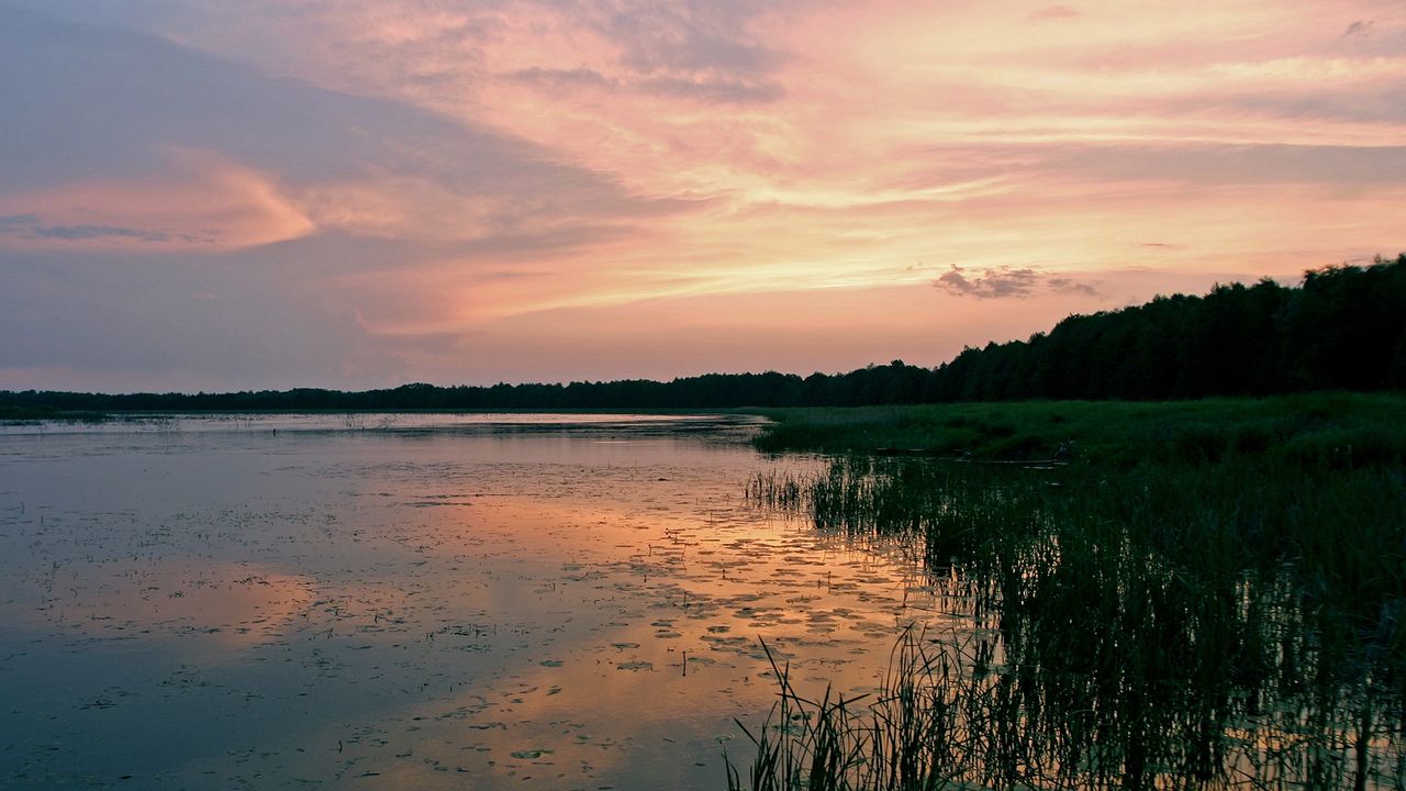 1 procent to za dużo. Jak Polska przestała dbać o parki narodowe