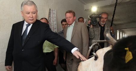 GOSTKIEWICZ: "Krowa+" i "Świnia+" to dowód na to, że Kaczyński stracił kluczowy atut [OPINIA]