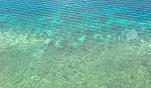 Australia zbuduje superautostradę dla samochodów elektrycznych. Będzie biegła wzdłuż niezwykłej atrakcji