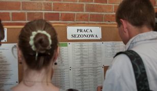 Praca sezonowa w Polsce. Można dostać nawet 20 zł za godzinę