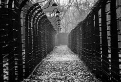 Powstaje gra komputerowa o obozie w Auschwitz, ale czy na pewno?