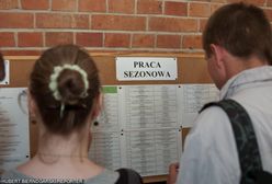 Praca sezonowa w Polsce. Można dostać nawet 20 zł za godzinę