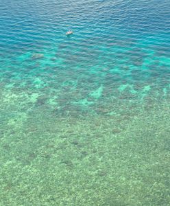 Australia zbuduje superautostradę dla samochodów elektrycznych. Będzie biegła wzdłuż niezwykłej atrakcji