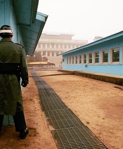 Kilkanaście pasożytów w ciele żołnierza, który uciekł z Korei Północnej