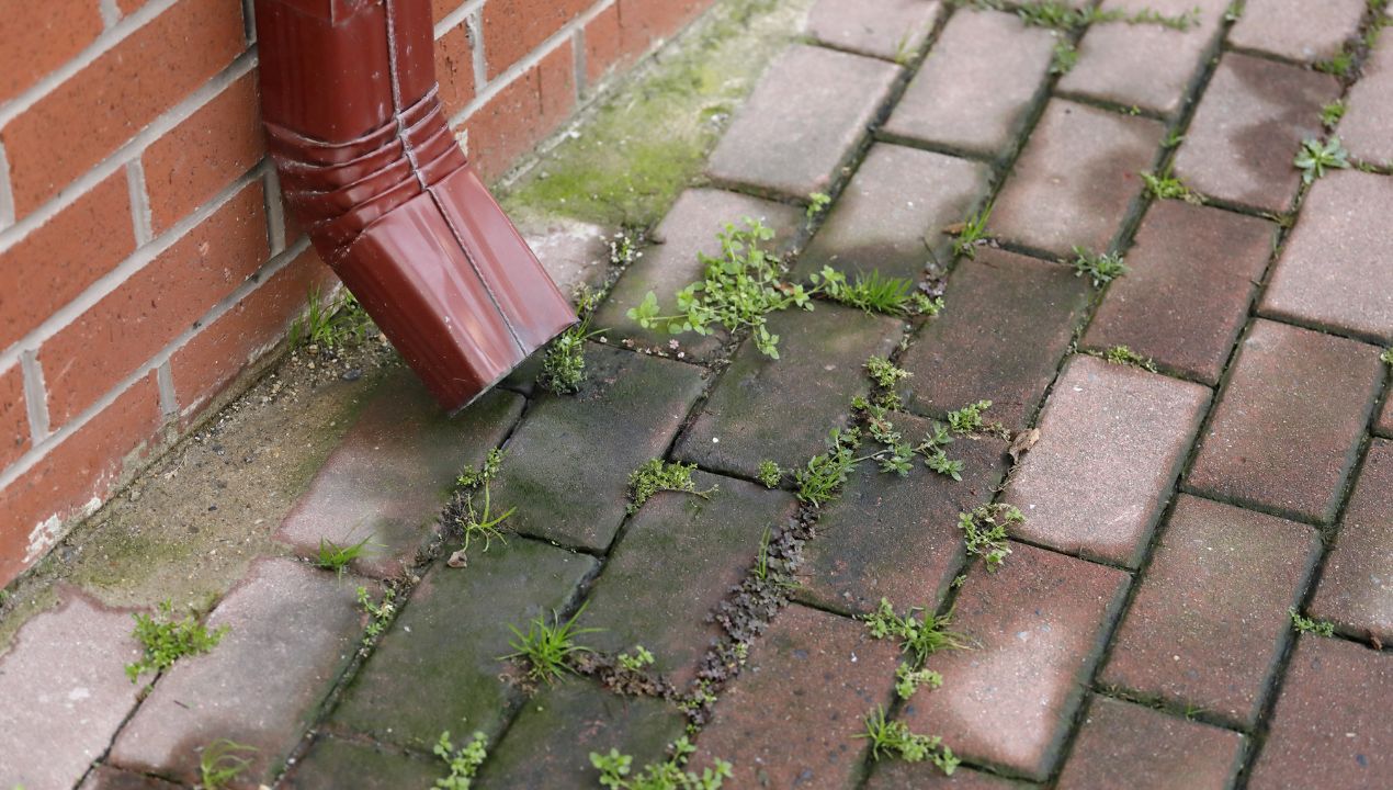 czym czyścić kostkę brukową fot. getty images