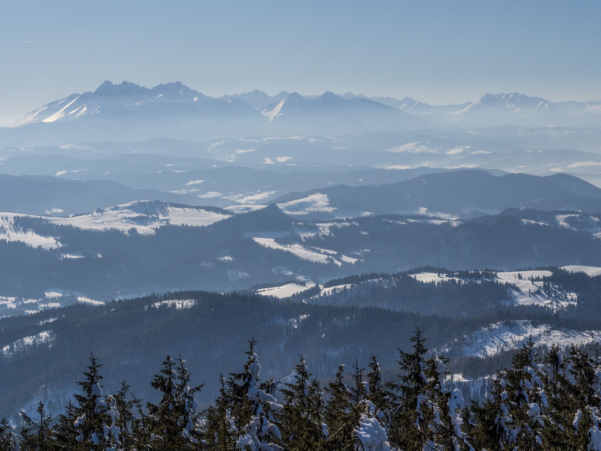 Widok z Radziejowej na Tatry, Beskid Sadecki 