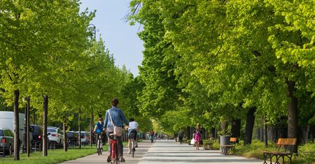 Miasto Jest Nasze: Nie można wygodnie przejechać rowerem przez centrum