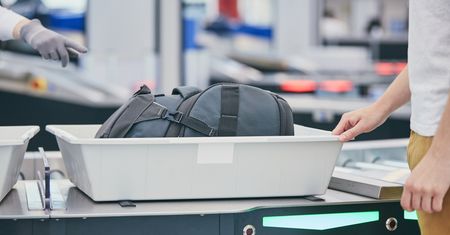 2,5 kg rafy koralowej w walizce. Polak zabrał ją "na pamiątkę"