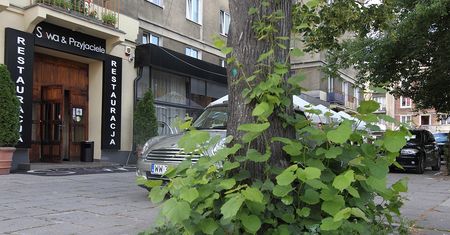 Afera podsłuchowa: politycy PiS wiedzieli, że Falenta ma nagrania ministrów rządu PO-PSL