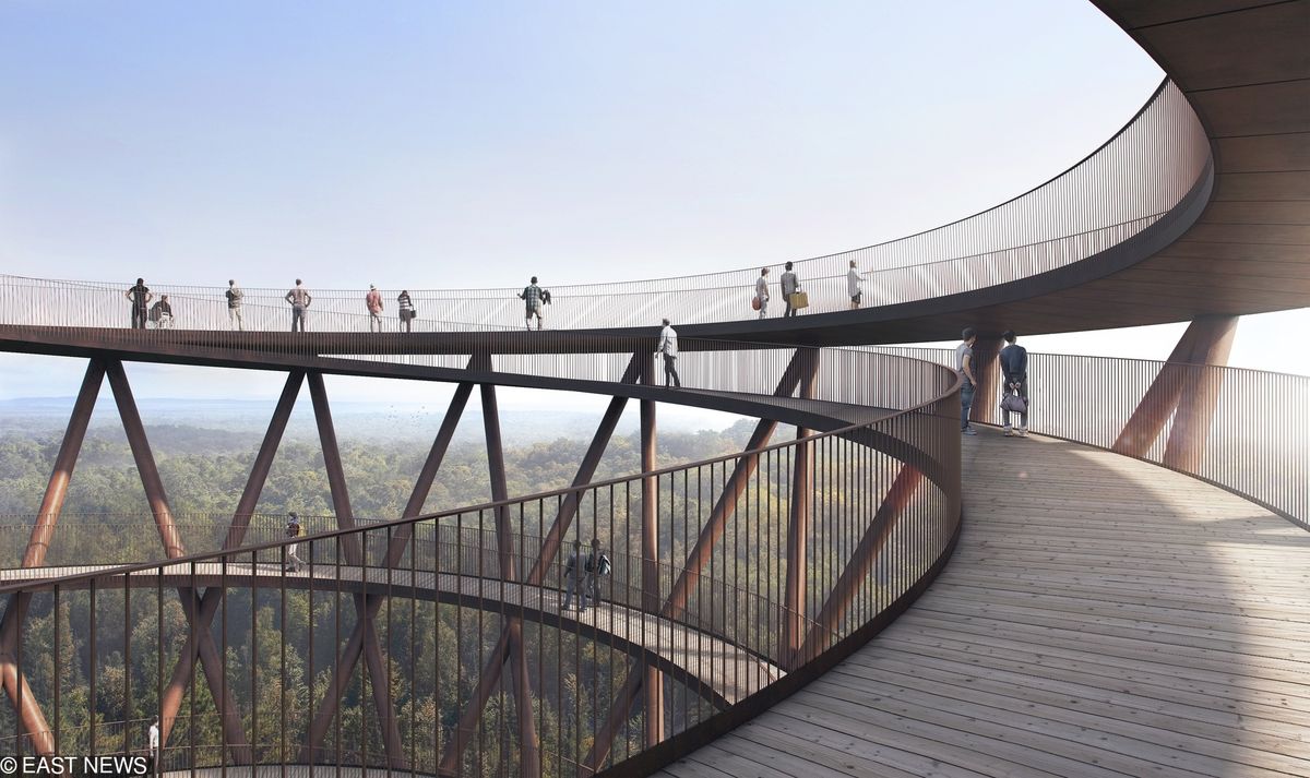 Spacer ponad koronami drzew. Otwarcie nowej atrakcji w Danii WP Turystyka