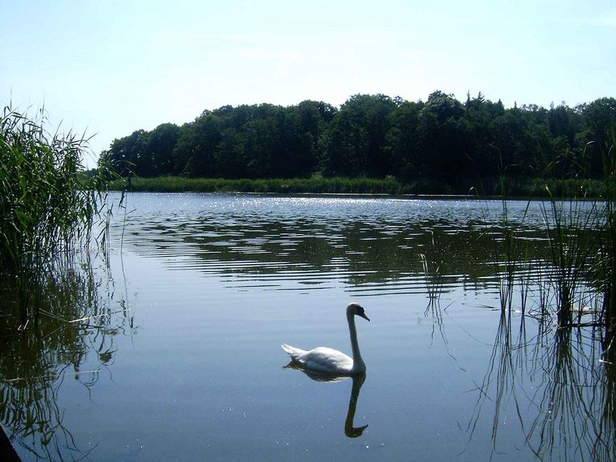 Co wiesz o polskich wyspach?