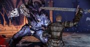 Dragon Age po polsku na Polconie
