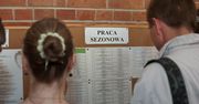 Praca sezonowa w Polsce. Można dostać nawet 20 zł za godzinę