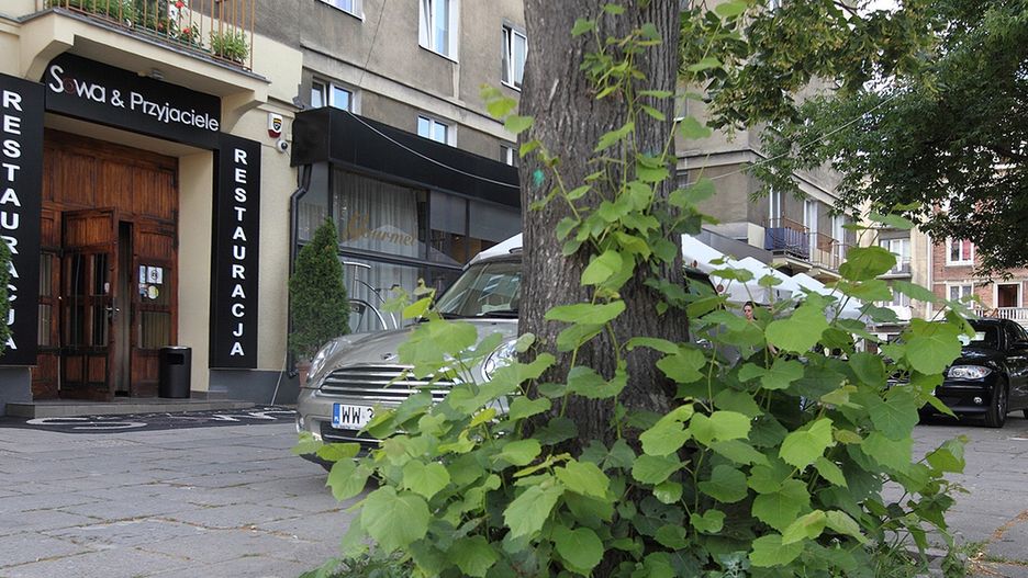 Afera taśmowa miała swój początek w restauracji "Sowa i Przyjaciele"