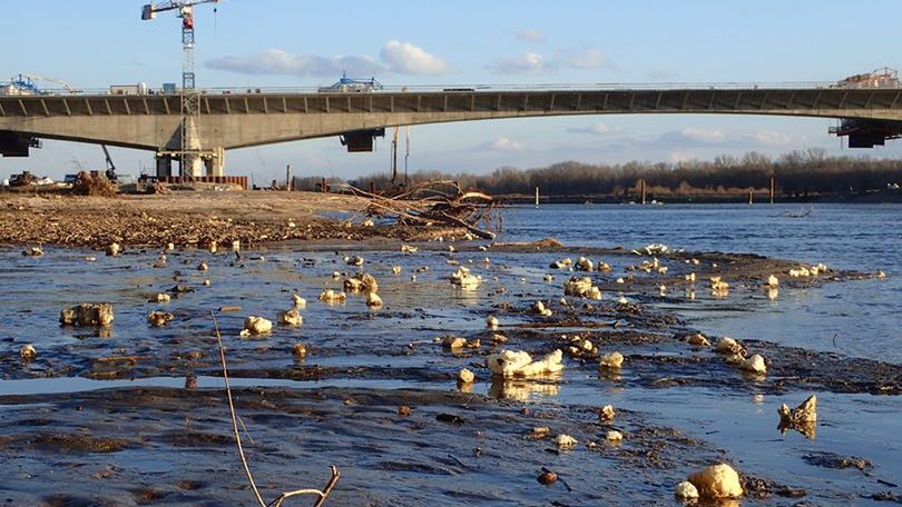 W Wiśle pływa pianka poliuretanowa. Fot. Przemysław Pasek.