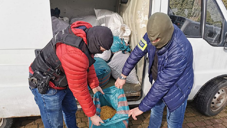 Mazowsze. Służby przejęły ponad pół tony tytoniu