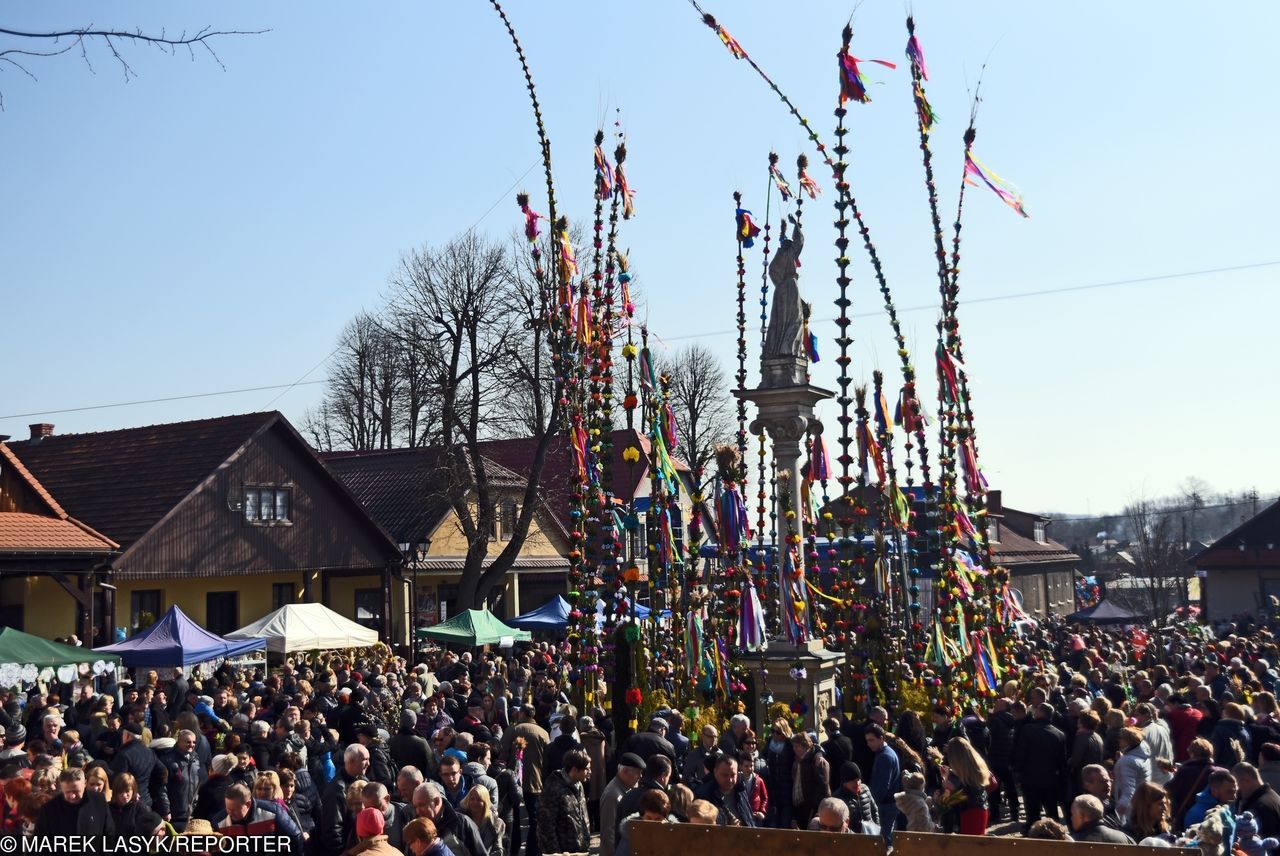 To miasto słynie z dużych palem. Największa miała ponad 32 metry