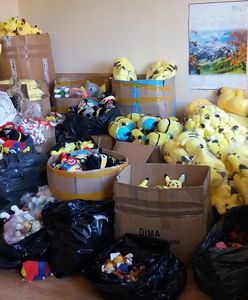 Nalot na "siedzibę Minionków". Policja zarekwirowała podrobione maskotki