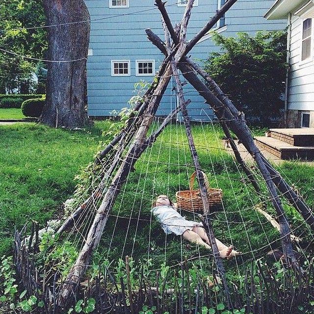 tipi