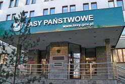 Sklepy z dziczyzną z Lasów Państwowy od listopada. Już 11 tysięcy podpisów przeciwko